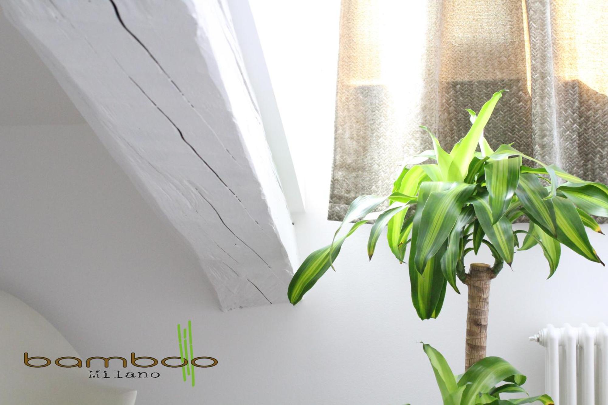 Bamboo Milano Isonzo Daire Dış mekan fotoğraf